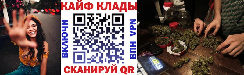 Купить наркоту Новая Ладога Галлюциногенные грибы  Амфетамин  ГАШИШ  Cocaine  Меф  Альфа ПВП 