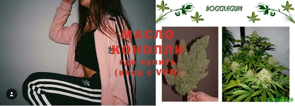 молекула духа Новодвинск